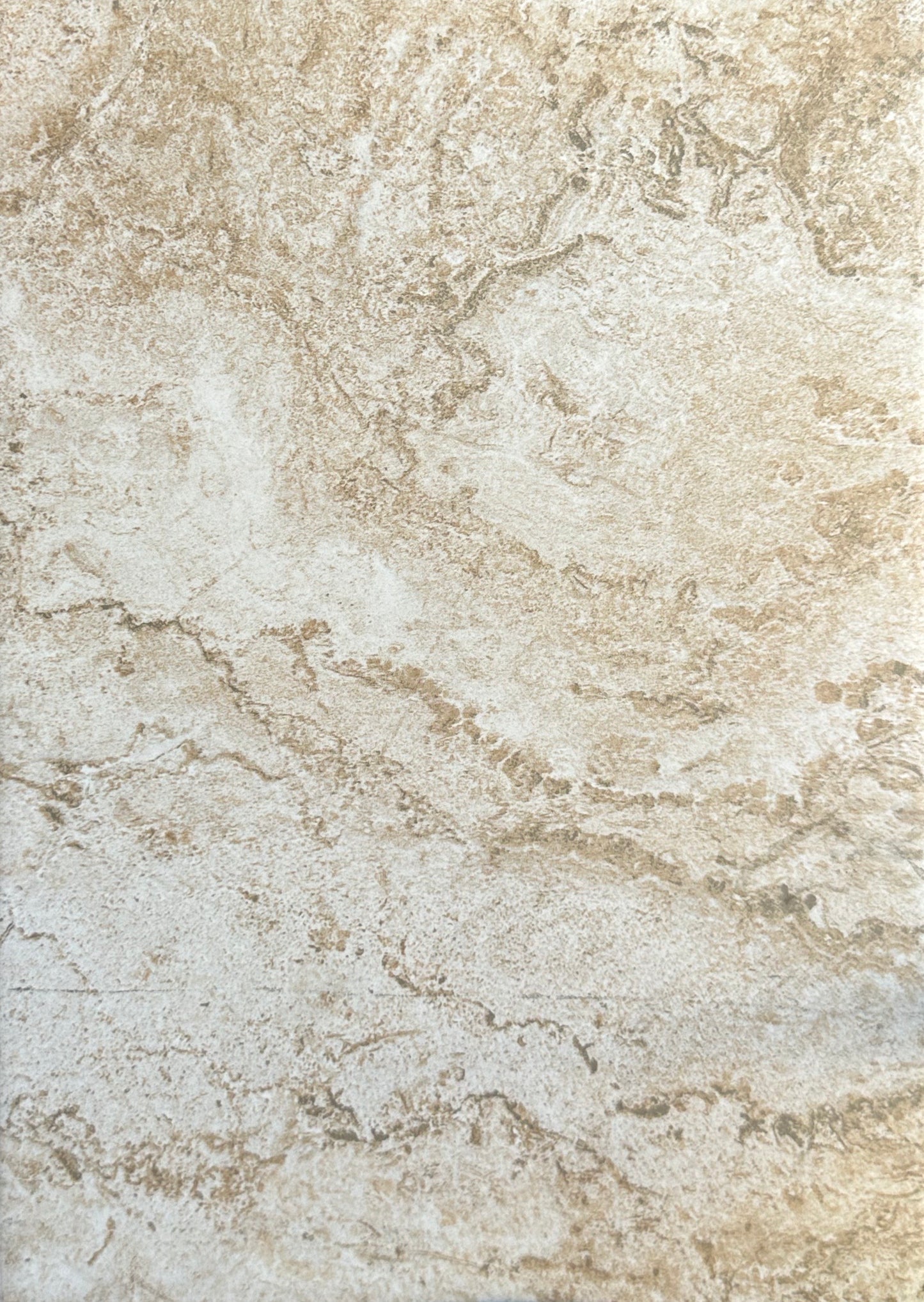 TILE: T805-SH06 STONEHUST CORAL REEF 10X14